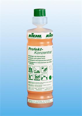 Profekt detergente manutentore concentrato 1lt.