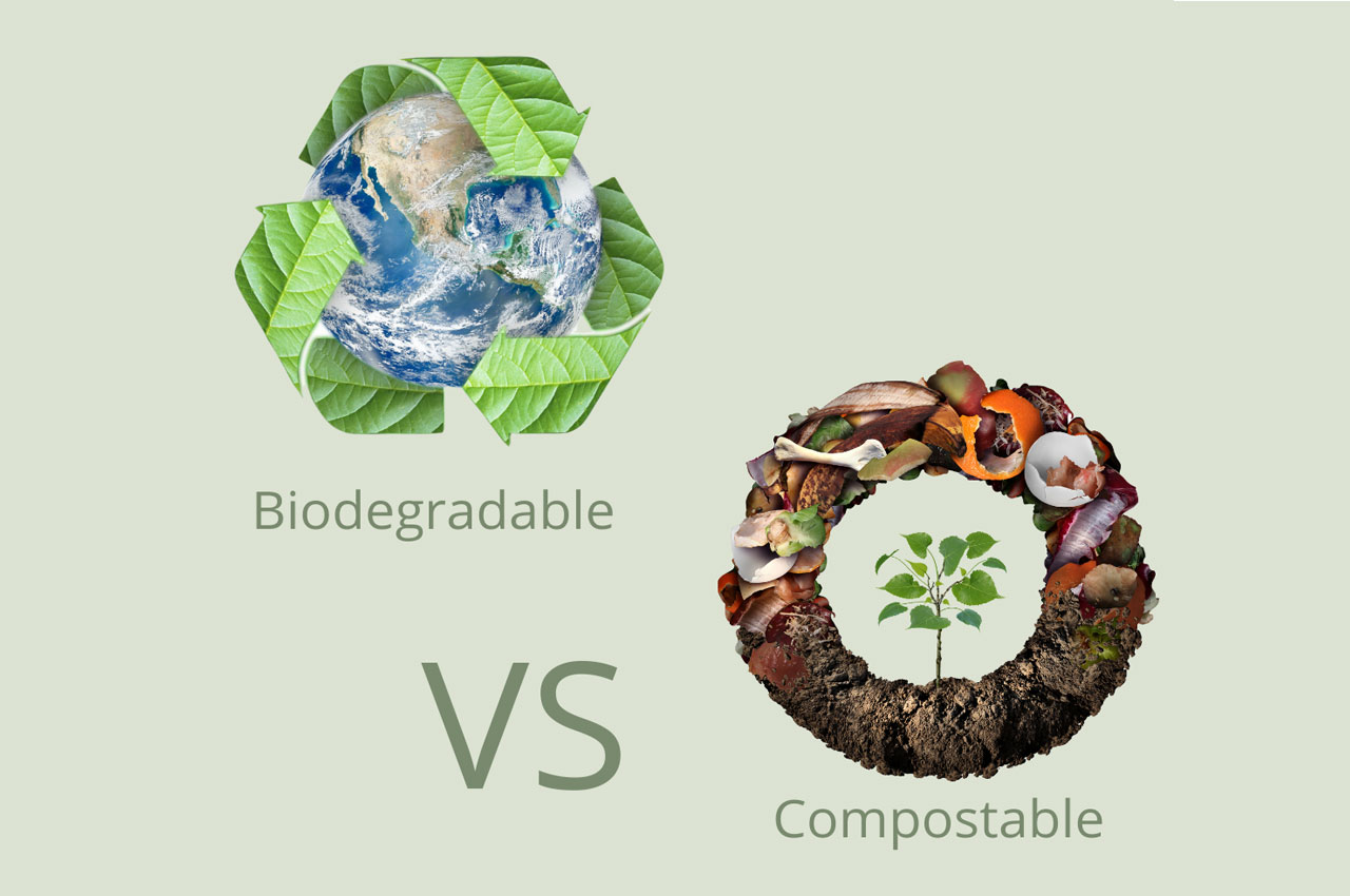 compostabile biodegradabile