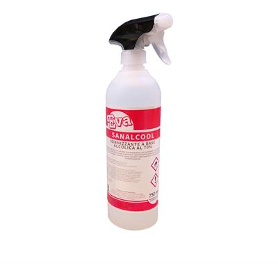 Sanalcool detergente idroalcoolico 750ml                        